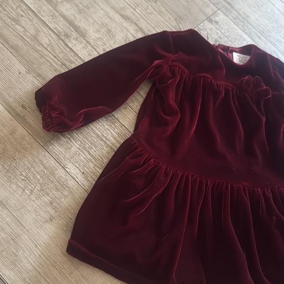 Velour Toddler Dress - Picture 2 of 5